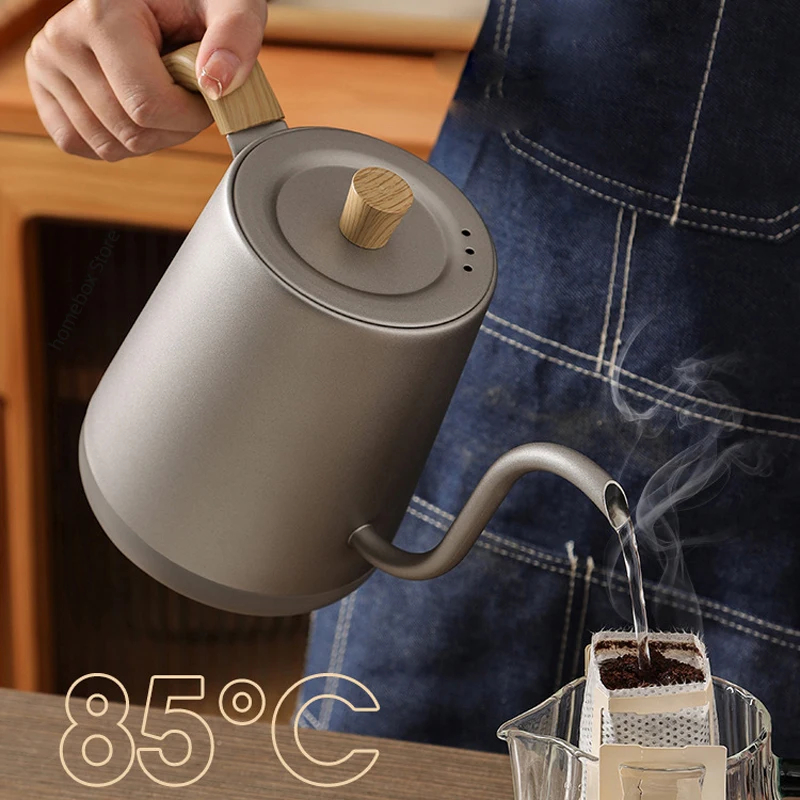 110V/220V Gooseneck Electric K - Electric Kettle Gooseneck ulasan dan harga