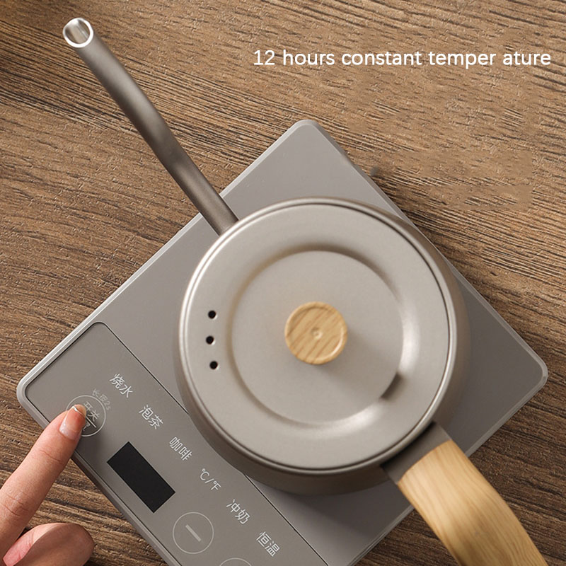 110v 220v Kettle teapot goose  - Electric Kettle Gooseneck ulasan dan harga